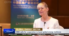 “We have forgotten just how dependent we are on energy”: Dr Angela Wilkinson on CGTN - World Energy Council Search Results