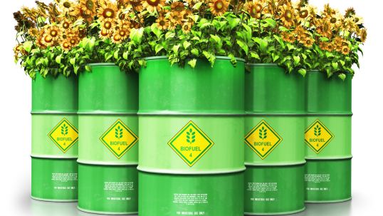 Future Energy Leader View: Biorefineries for Advanced Low-Emissions Fuels