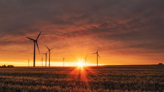 Race to Zero: what more can companies do? by Nigel Topping, COP26 High Level Climate Action Champion
