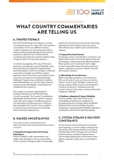 World Energy Issues Monitor 2026 - What Country Commentaries are Telling Us