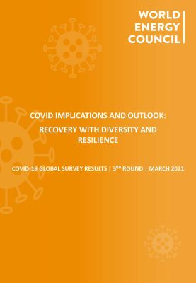 3rd COVID-19 Impact Survey Results and Outlook: Recovery with Diversity and Resilience 