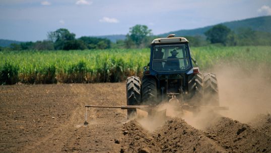 Raizen - Grass that powers vehicles