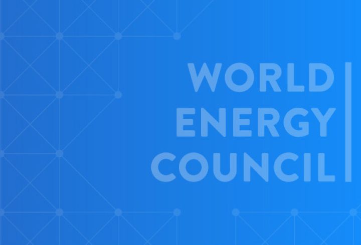 Bulgarian Energy Day - News & Views