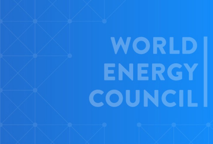 Bulgarian Energy Day - News & Views