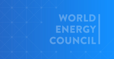 World Energy Issues Monitor | 2022 - World Energy Council Search Results