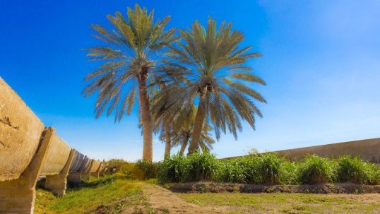 World Energy Council welcomes Saudi and Middle East Green Initiatives as evidence of multiple pathways to net zero