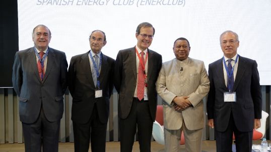 Energy Futures: The Middle East and Regional Energy Transitions