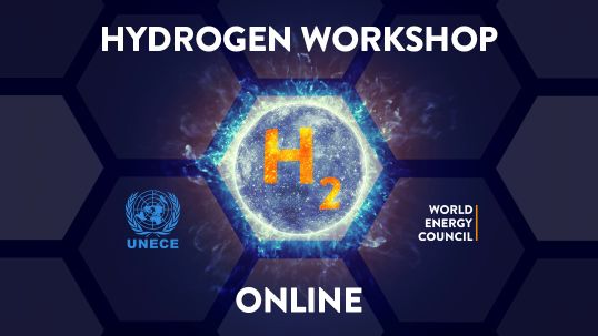 Successful Hydrogen Online Workshop 