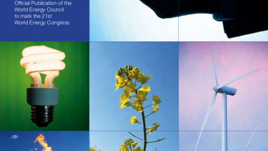 World Energy Insight 2010