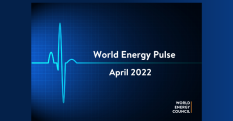Press Release: World Energy Council’s ‘World Energy Pulse’ Reveals Industry Expects Crisis to Accelerate Pace of Transition - World Energy Council Search Results