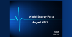 Press Release: Optimism about pace of energy transitions declining, reveals World Energy Council’s latest ‘world energy pulse’ - World Energy Council Search Results