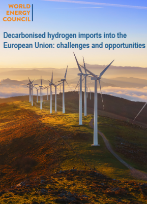 Decarbonised hydrogen imports into the European Union: challenges and opportunities
