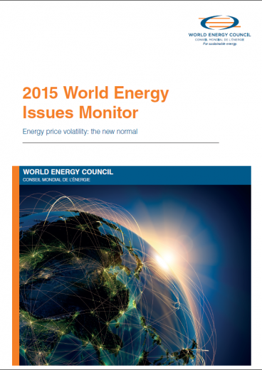 2015 World Energy Issues Monitor