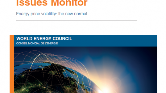 2015 World Energy Issues Monitor