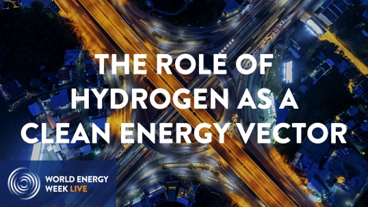 Global plenary: The role of hydrogen as a clean energy vector
