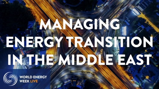 Regional perspectives: Managing energy transition in the Middle East