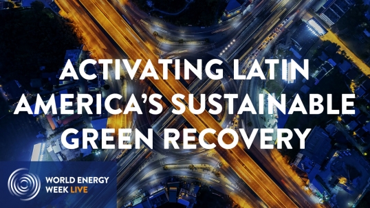 Regional perspectives: Activating Latin America’s sustainable green recovery