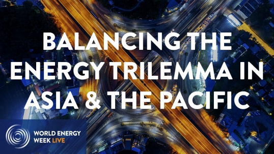 Regional perspectives: Balancing the energy trilemma in Asia & the Pacific