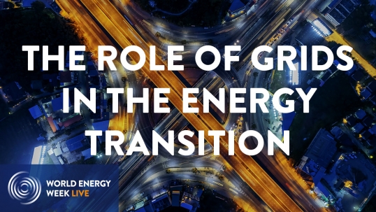 Global plenary: The role of grids in the energy transition