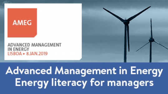 Advanced Management in Energy Program: energy literacy for managers