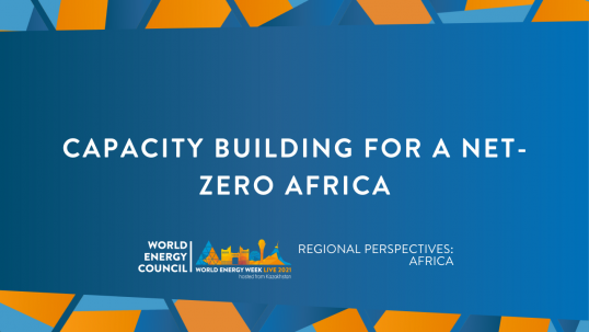 Capacity building for a net-zero Africa (Regional perspective: Africa)