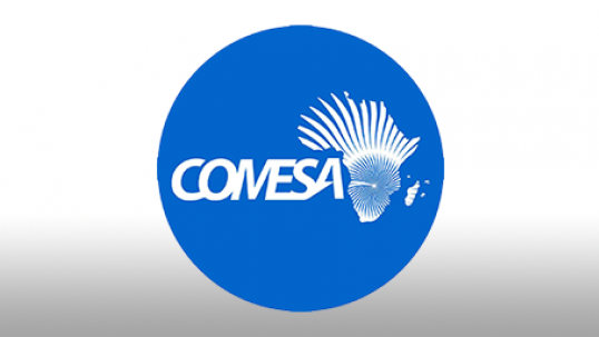 World Energy Council and COMESA sign MoU to enhance regional energy integration