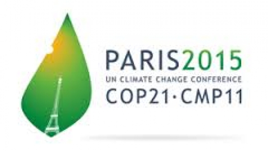 The World Energy Council’s call to the 21st Conference of Parties