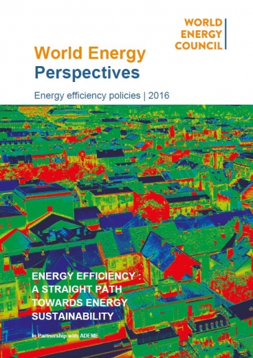 Energy Efficiency: A straight path towards energy sustainability