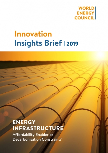 Innovation Insights Brief - Energy Infrastructure: Affordability Enabler or Decarbonisation Constraint?