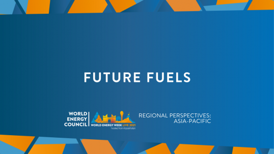 Future fuels (Regional perspective: Asia-Pacific)