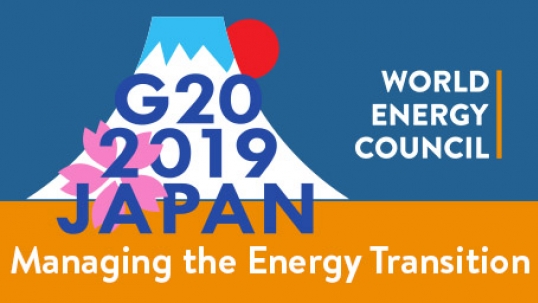 How countries in the G20 develop better policies for managing the energy transition