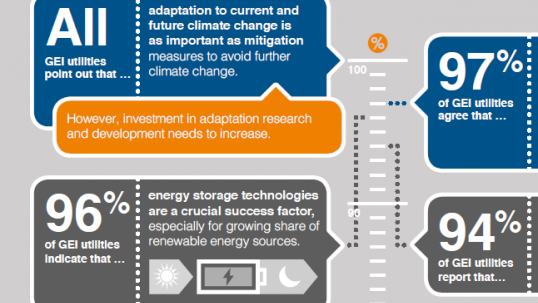 Utilities call for joint action to deliver universal access while reducing emissions