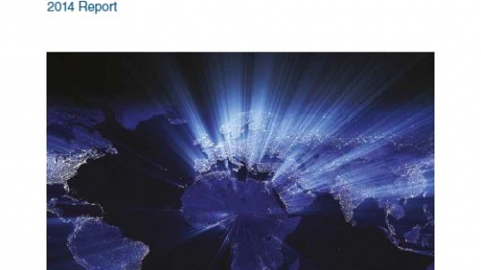 Global Electricity Initiative: 2014 Report