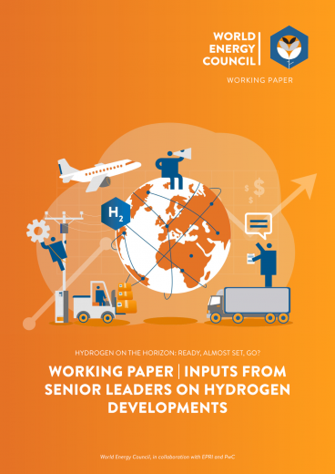 Working Paper: Inputs From Senior Leaders on Hydrogen Developments 