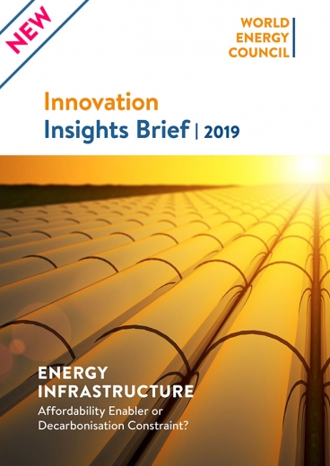 Innovation Insights Brief - Energy Infrastructure: Affordability Enabler or Decarbonisation Constraint?