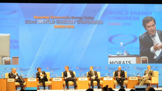 Future of renewables debated at the Daegu 2013 Congress