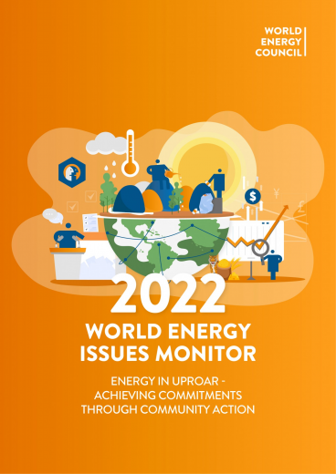 World Energy Issues Monitor | 2022