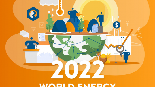World Energy Issues Monitor | 2022