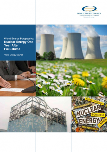 World Energy Perspective: Nuclear Energy One Year After Fukushima