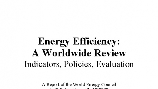 Energy Efficiency: a Worldwide Review