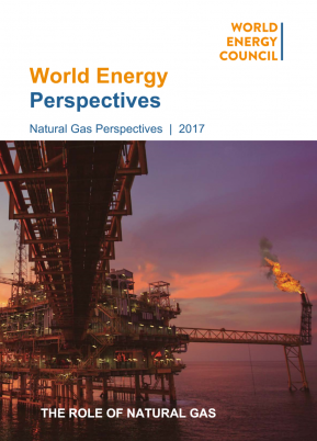 The Role of Natural Gas (Perspective Report)