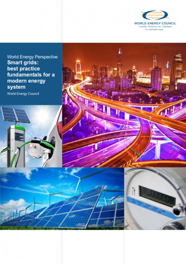 World Energy Perspective: Smart grids - best practice fundamentals for a modern energy system