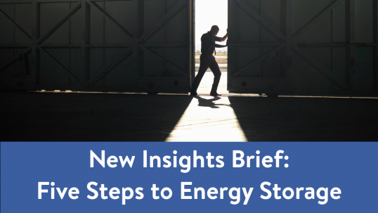 New Insights Brief on Energy Storage is launched