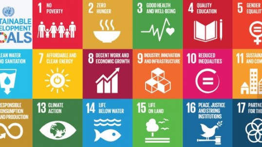 World Energy Council welcomes energy inclusion in UN Sustainable Development Goals