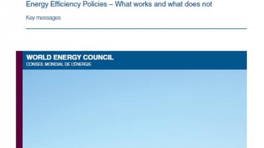 World Energy Perspective: Energy Efficiency Policies – What works and what does not