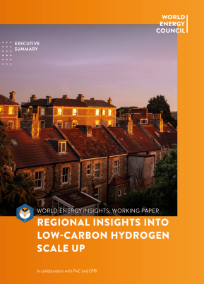 Executive Summary: Regional Insights into Low-Carbon Hydrogen Scale Up | World Energy Insights