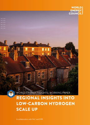 Working Paper: Regional Insights into Low-Carbon Hydrogen Scale Up | World Energy Insights