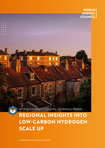 Working Paper: Regional insights into low-carbon hydrogen scale up | World Energy Insights 