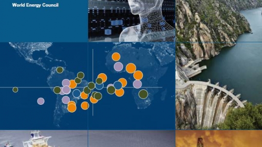 World Energy Issues Monitor 2013