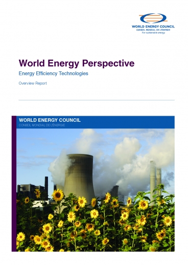 World Energy Perspective: Energy Efficiency Technologies